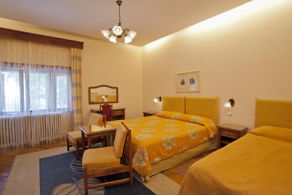 Vila Camelia Otel Sinaia Dış mekan fotoğraf