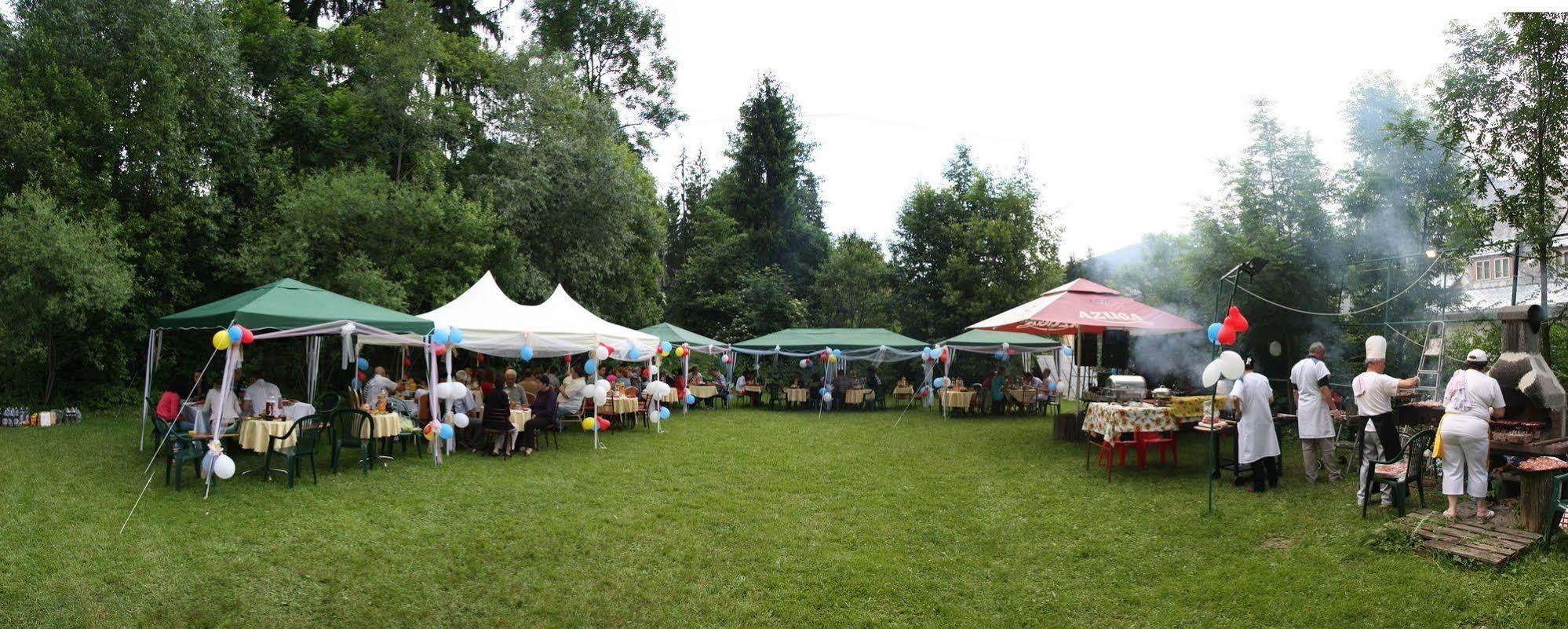 Vila Camelia Otel Sinaia Dış mekan fotoğraf