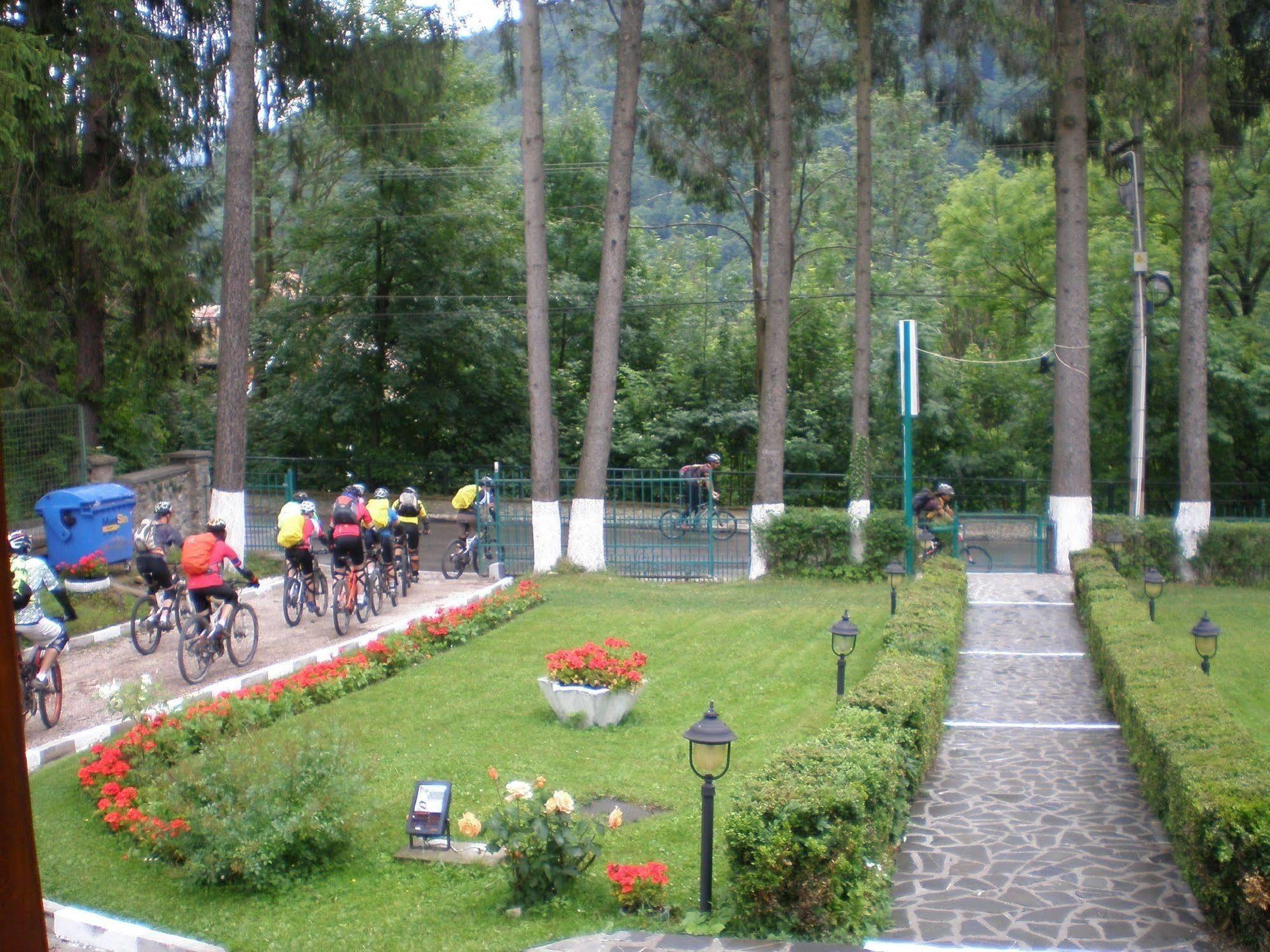 Vila Camelia Otel Sinaia Dış mekan fotoğraf