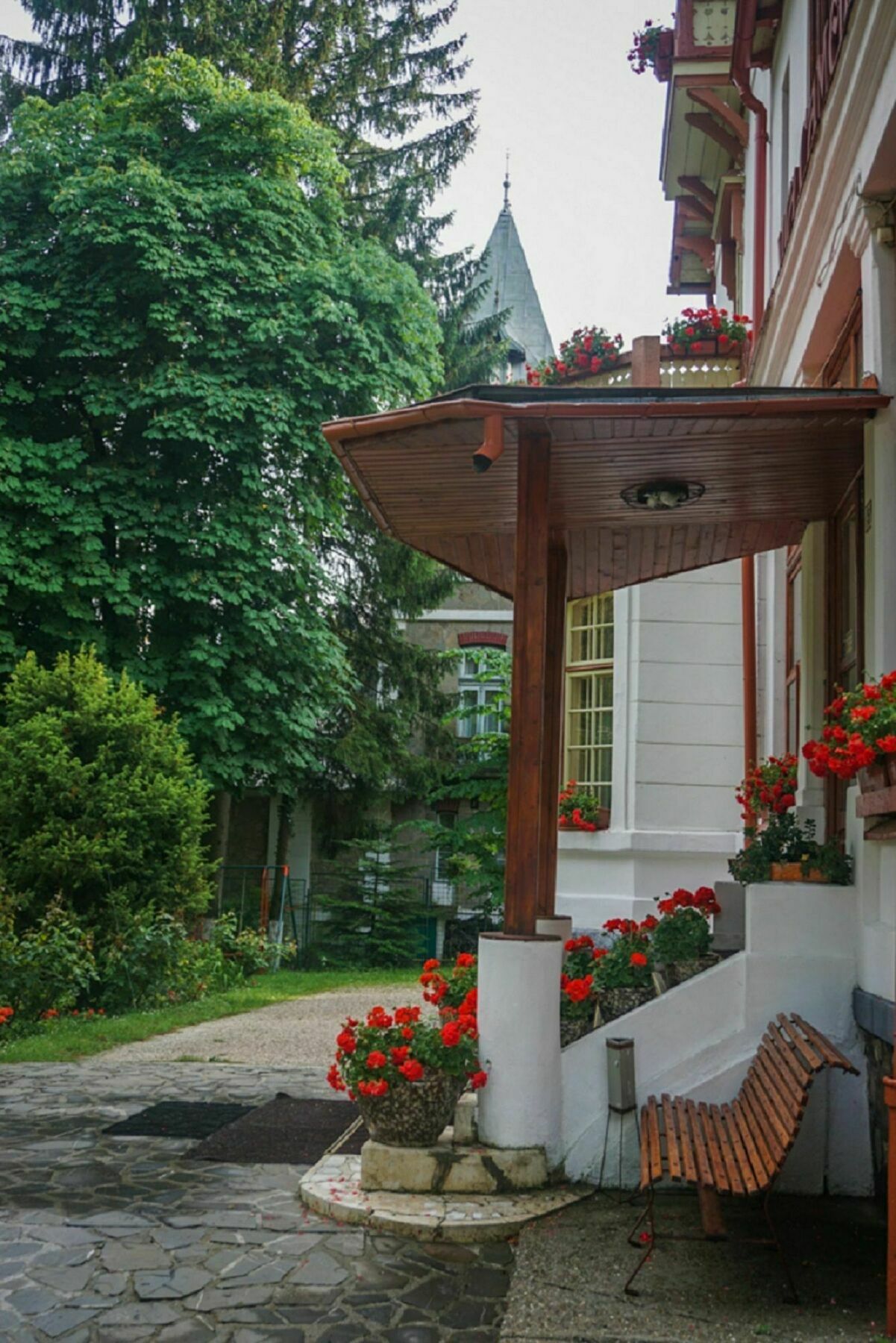 Vila Camelia Otel Sinaia Dış mekan fotoğraf