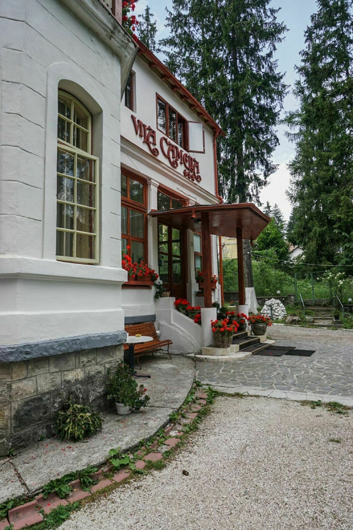 Vila Camelia Otel Sinaia Dış mekan fotoğraf